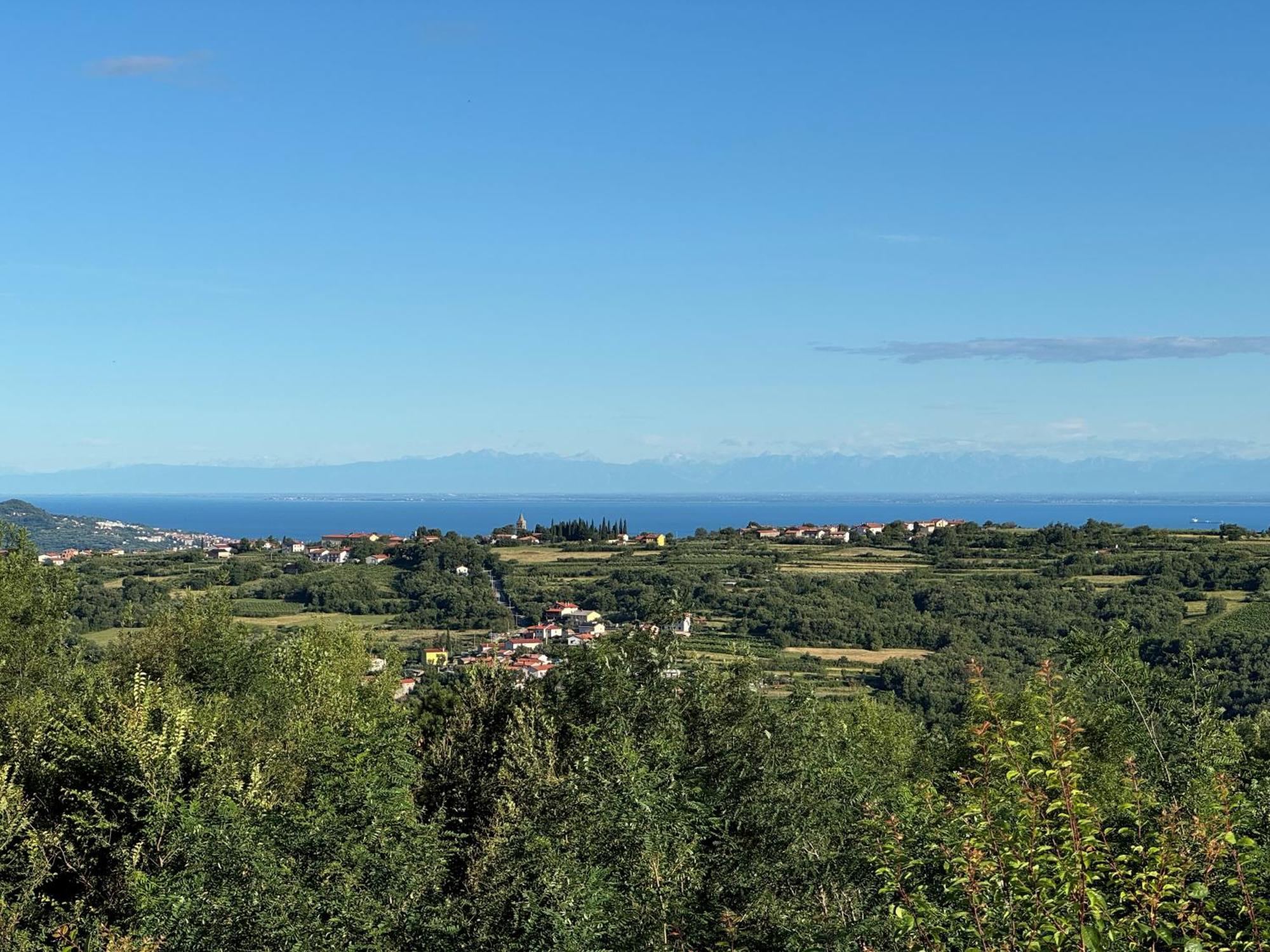 Guesthouse Green Istria Truške Exterior foto